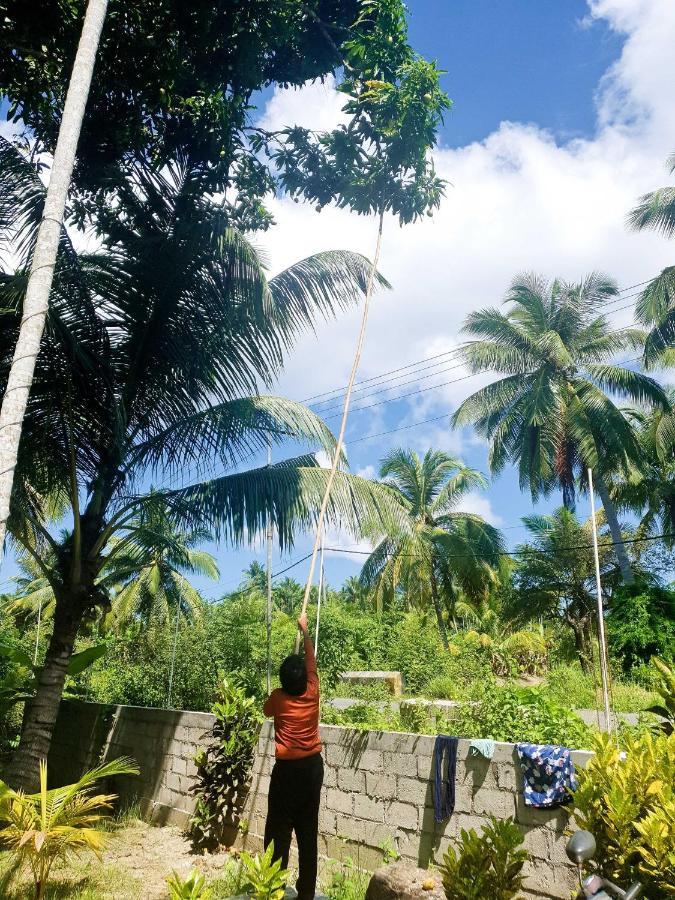 Blue Lagoon Resort, Neil Island Sitapur エクステリア 写真